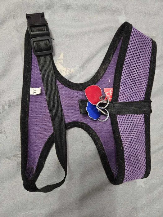 Сладурски Дрехи за Куче | Среден/Малък размер