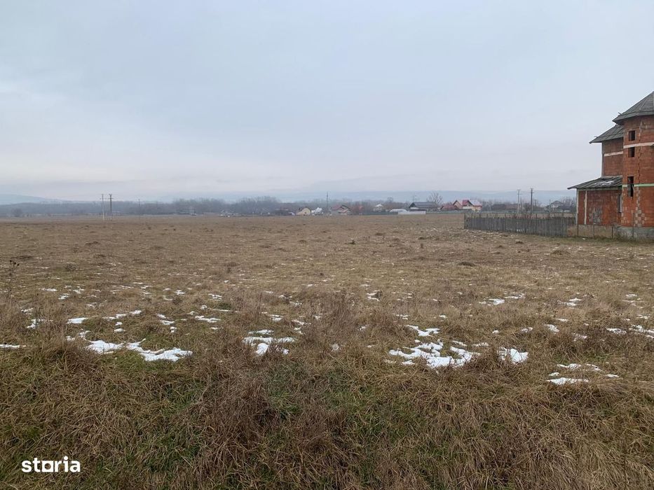 Cedare concesiune teren 2.000 mp | Todirești (Părhăuți)