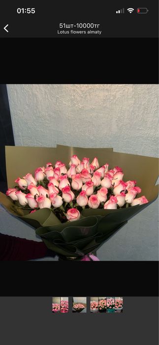 Цветы Роза flovers