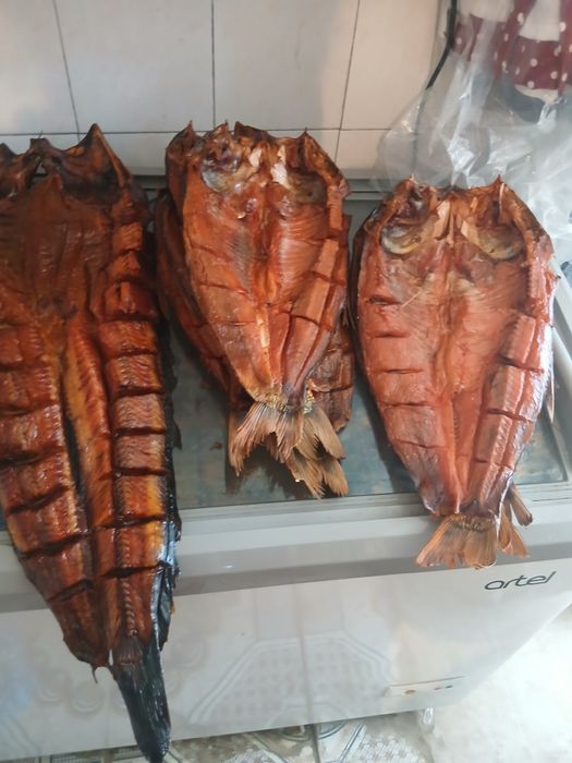 Курица , петрушки, индейки и рыбы