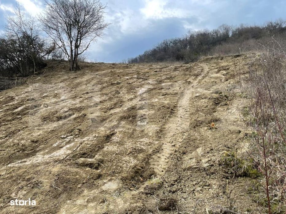Teren intravilan 1.525 mp – Valea Jelnei, aproape de Bistrita, negoc