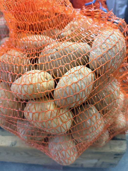 Cartofi BIO de vânzare – 2,5 lei/kg