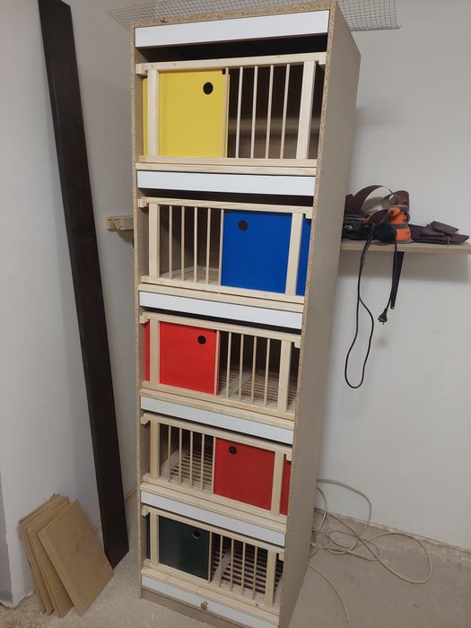 Accesorii pirumbei