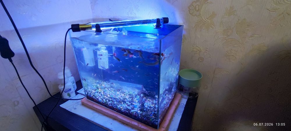 Аквариум с рыбками