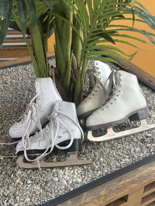 коньки профиссиональный