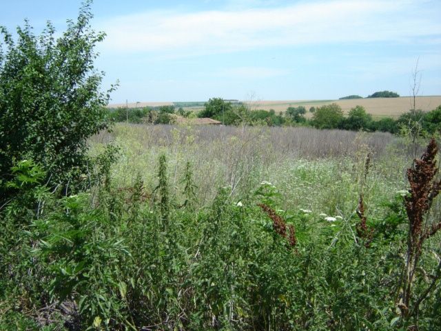 Продава се Парцел в с. Сноп, Област Добрич - 3125 кв.м за 2 €/кв.м - Снимка #2