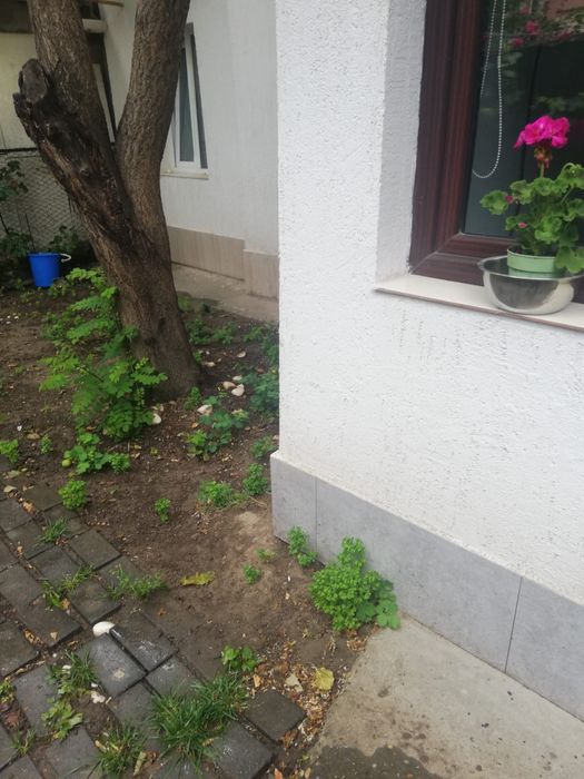 Merita! Casă din cărămidă, centru, str Balcescu, libera.