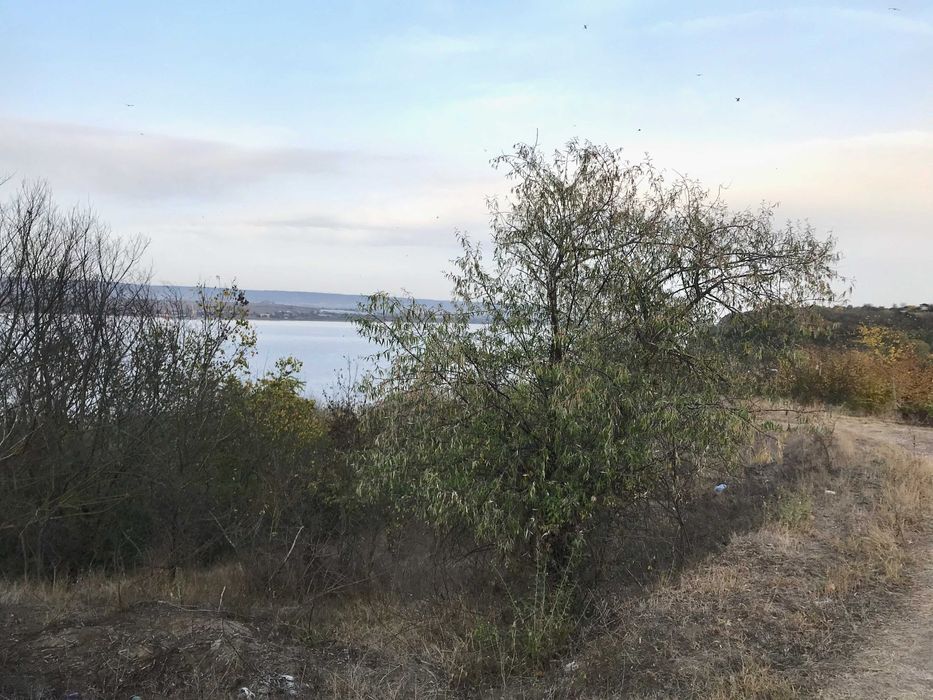 Продава се Парцел в с. Константиново, Област Варна - 4000 кв.м за 15 €/кв.м - Снимка #8