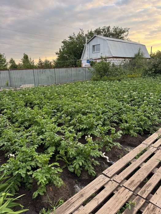 Дача СО " Геолог"