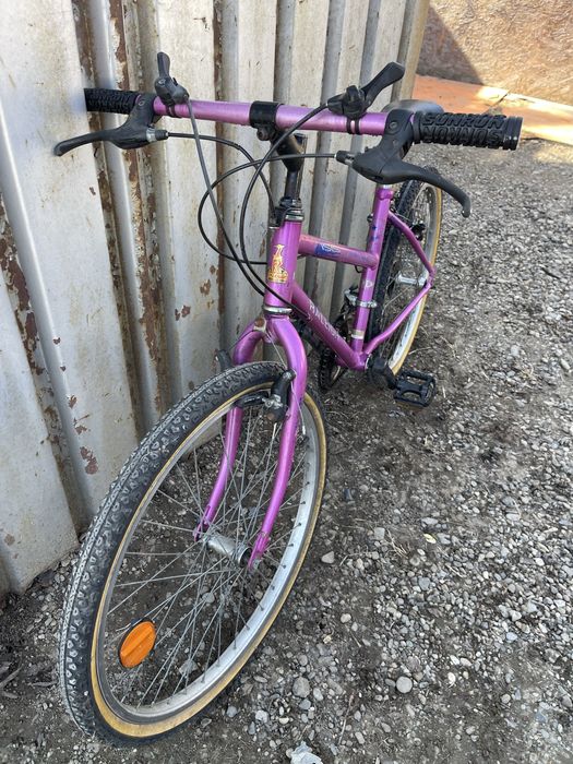 Bicicleta raleigh roti 24”