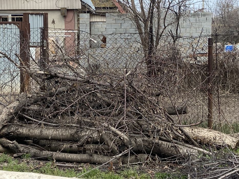 Дрова,ветки,деревья самовывоз