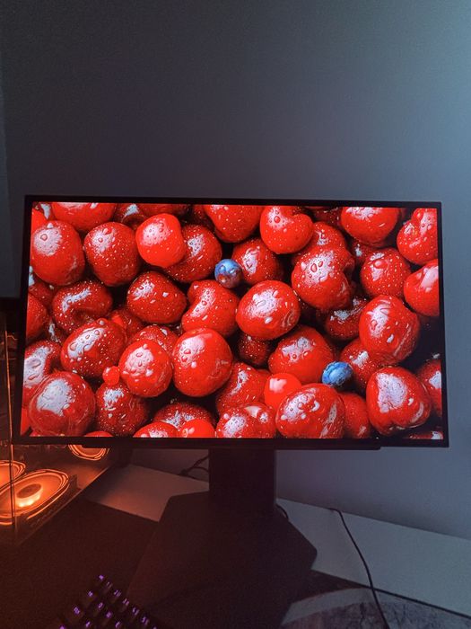 Monitor lg ultragear 480hz