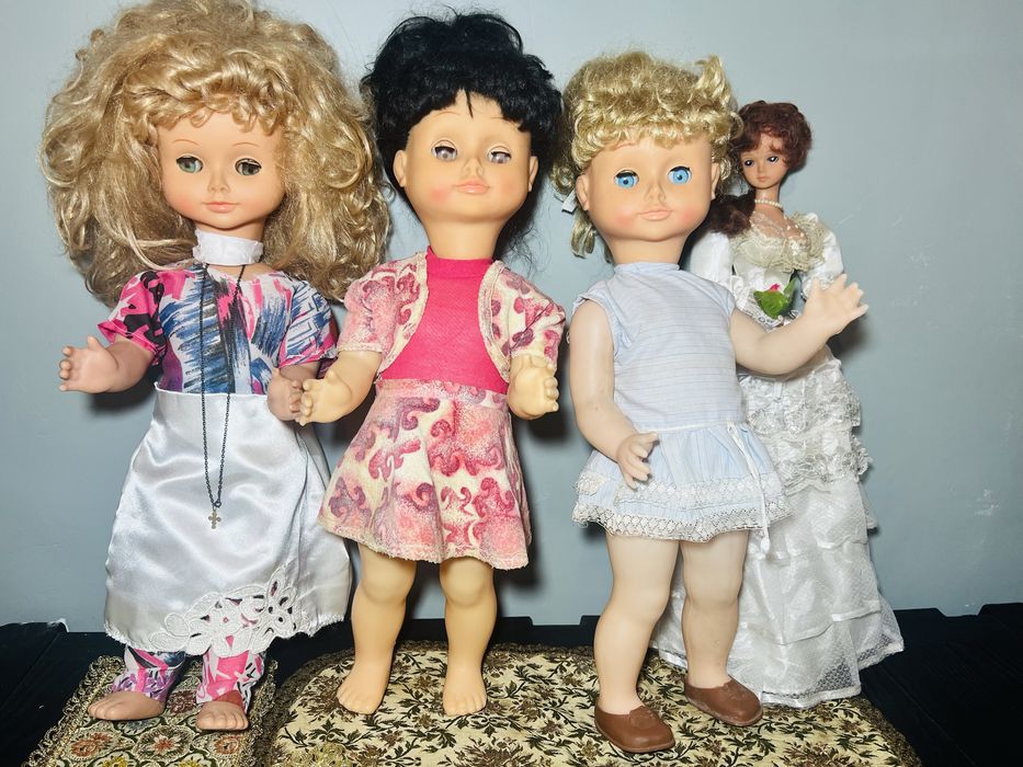 Lot Liliana Aradeanca