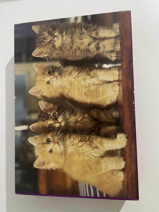 Puzzle pentru copiii