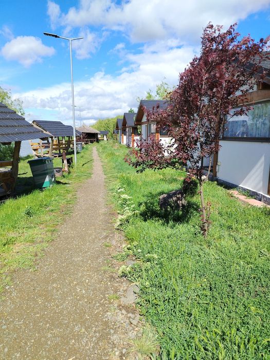 Vand balta de pescuit – Proprietate completă, 8,1 ha | De vânzare