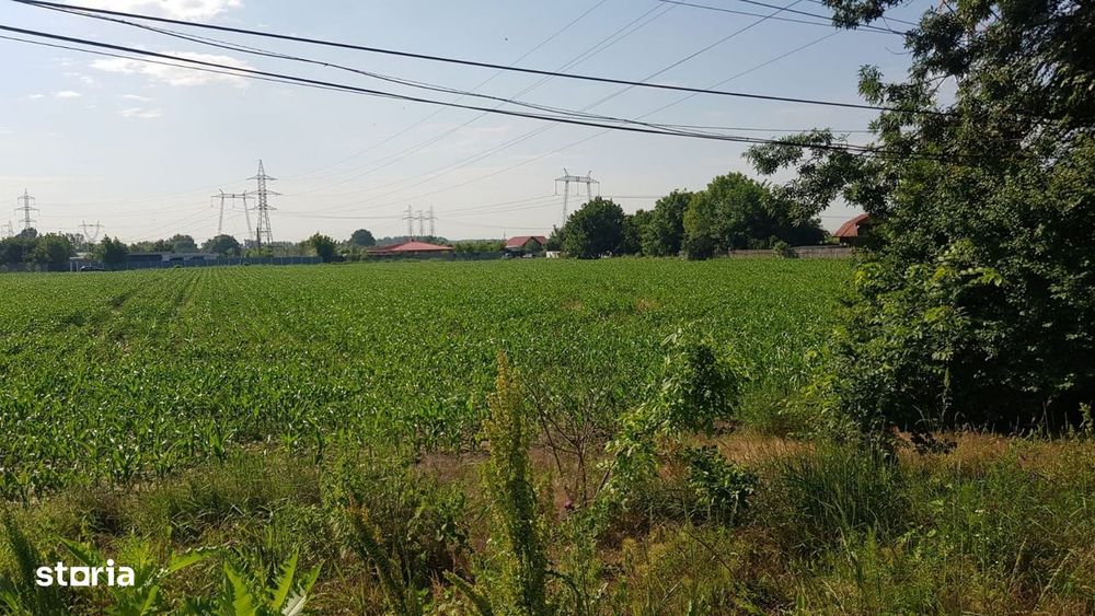 Teren stradal DN5 Jilava