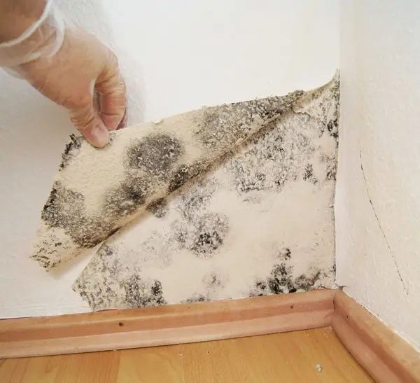 Вентеляция домов и квартир