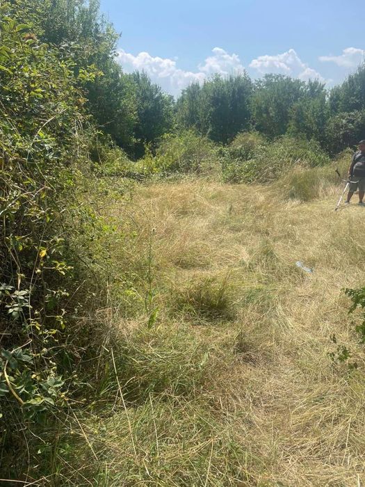 Кърти чисти извозва хамалски услуги рязане на дървета