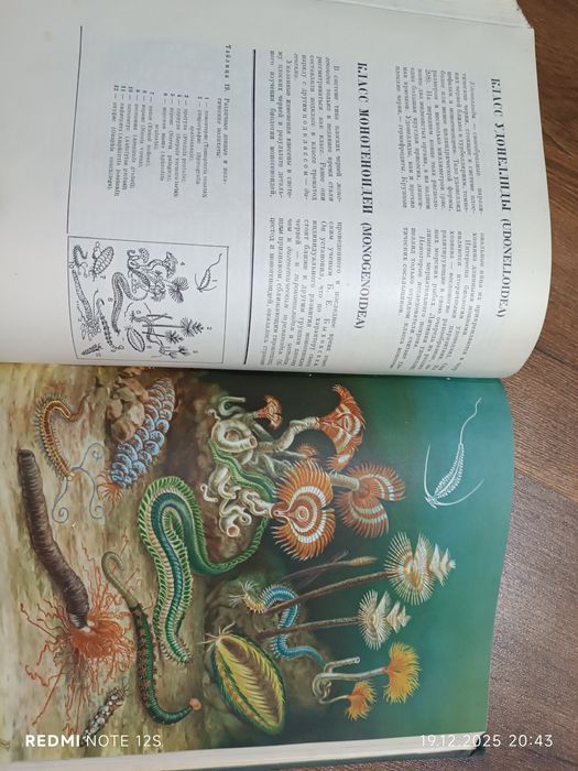 Книги Жизнь Животных 6томов