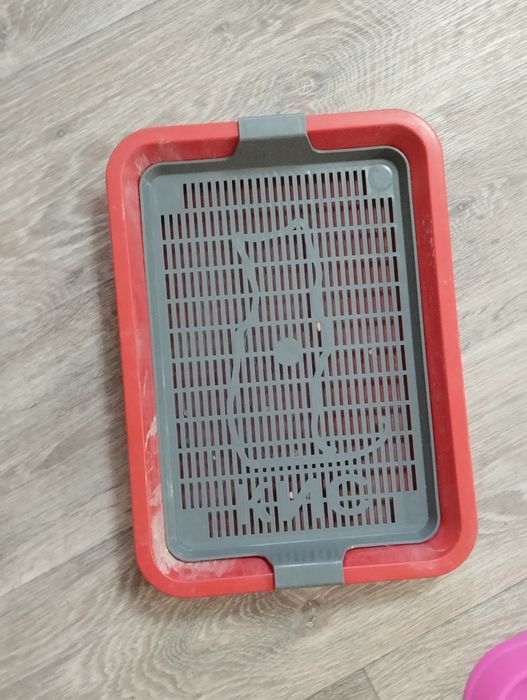 Лоток, миски, грунт для кошки