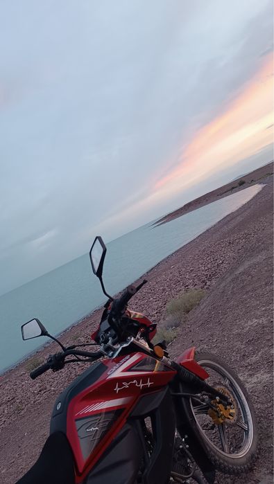 Альфа чамп 125 кубов