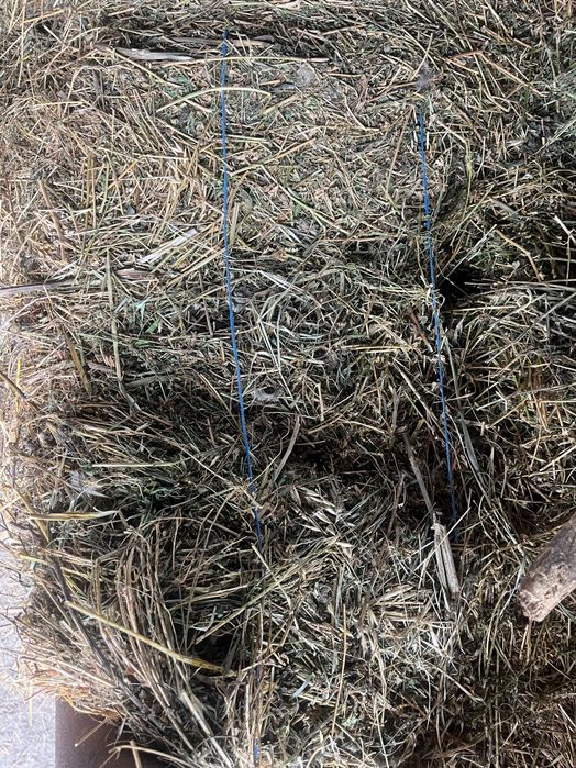 Baloți de trifoi de vanzare