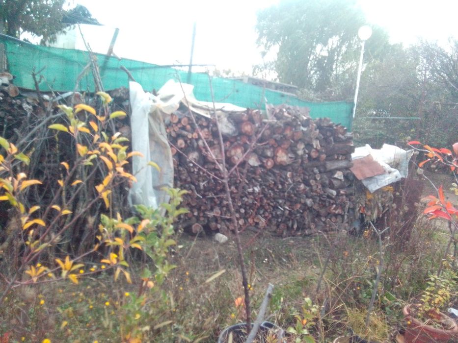 Paleți rupți și întregi ,lemne