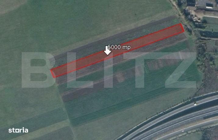 Teren de 5000 mp, Stupini