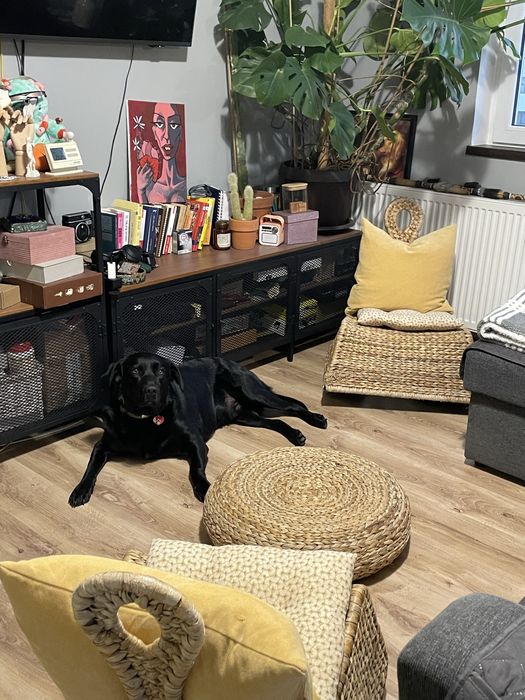 Taburet Ikea din frunze de bananier impletite