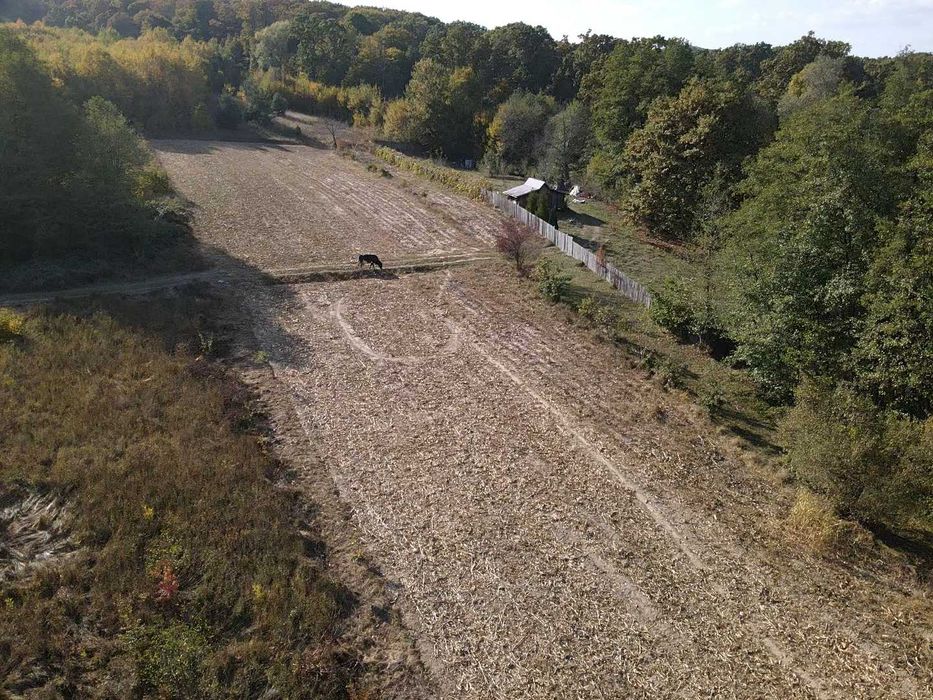 3 terenuri alăturate lângă pădure, Mica | aproape de Pitești