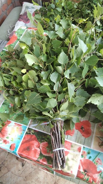 Веники для бани  продам
