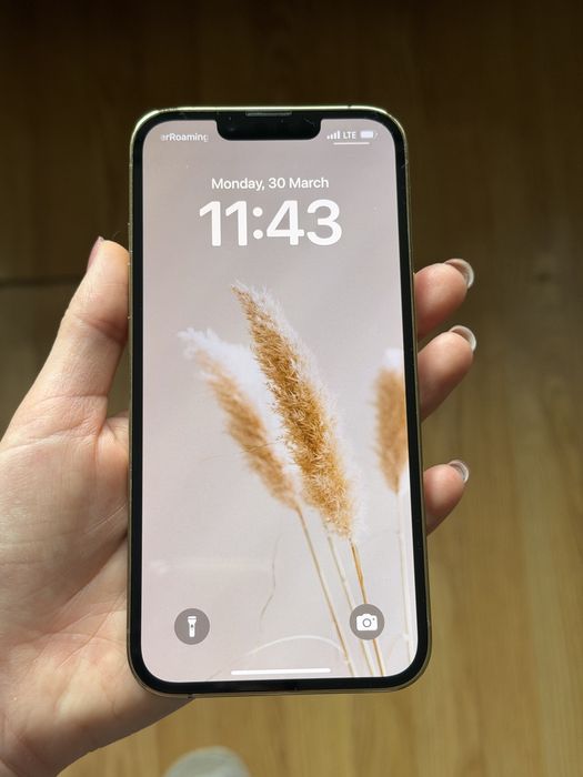 IPhone 13 Pro 256 GB - telefon complet functional