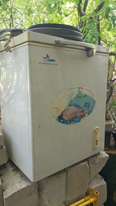 Морозилник істейді мұздатпайды