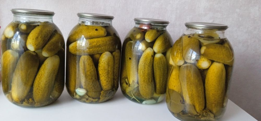 Огурцы консервированные