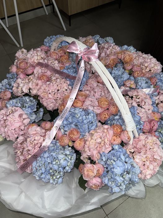 гортензия бугынгы