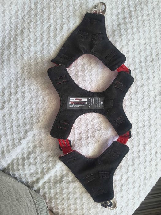 Нагръдник малко куче