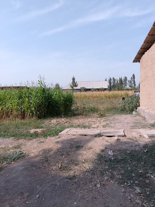 Участка сотлади 12сутик пискентдаа