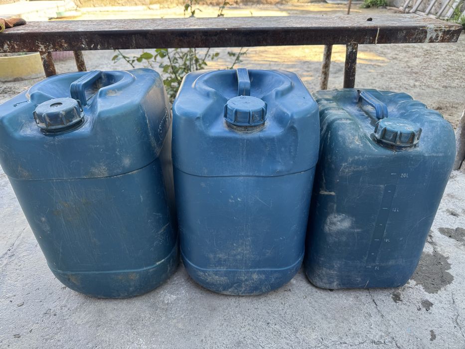 Конистрый целыйе