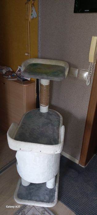 Кошкин дом для котёнка