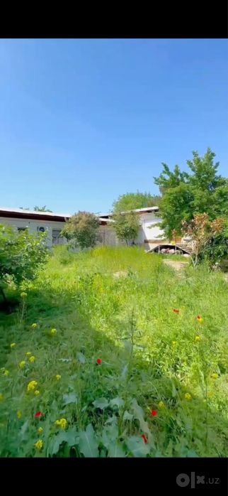 N9463 Uchtepa tumani Orikzor 6 sotix