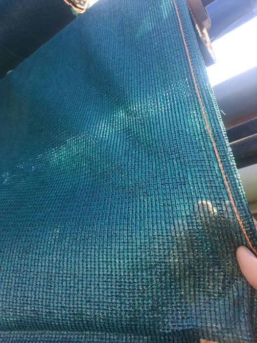 Soya setkalar turli olchamda