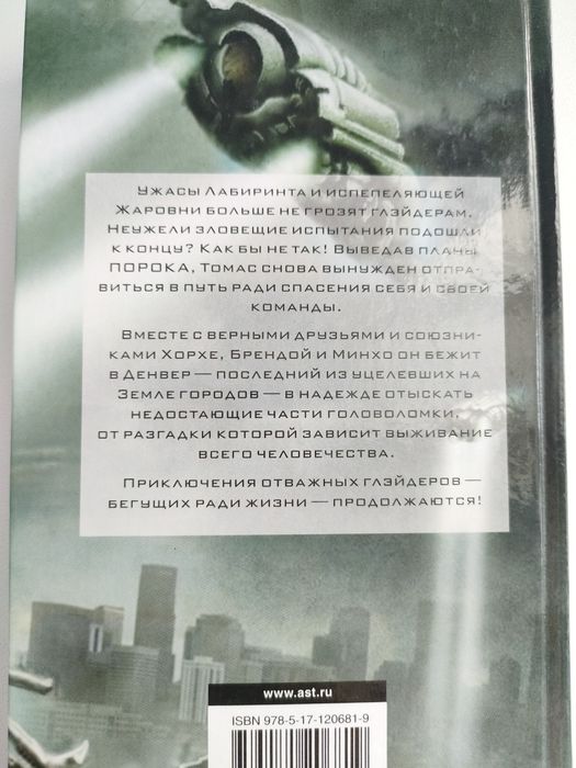 Книга Бегущий в лабиринте