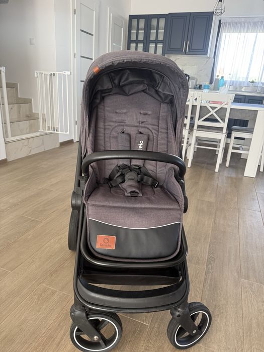 Vand carucior 2 in 1 Reversibil Lionelo Mika