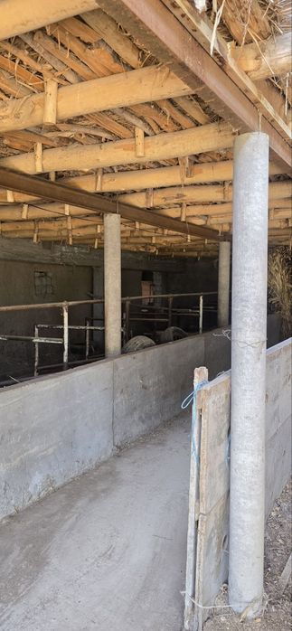 Янгийул Тумани Мол бозор ёнида Мол Фирма сотилади