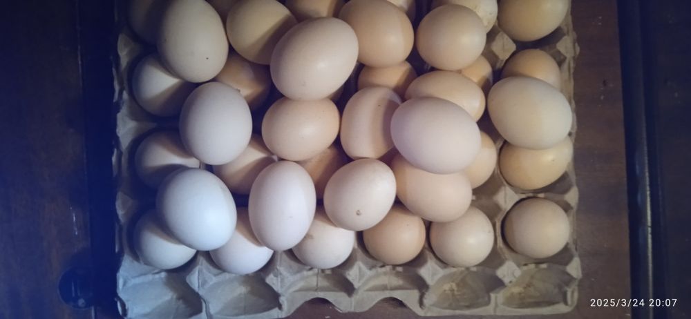 Жетісай қаласы Байзақов 4 үй