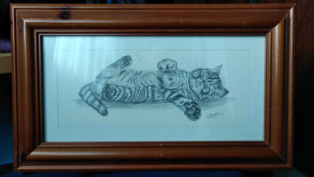 Tablou in creion felina pisicuta pisica jucausa rama din lemn