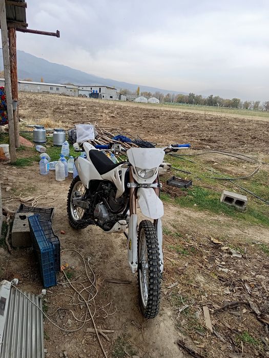 продам эндурик 06