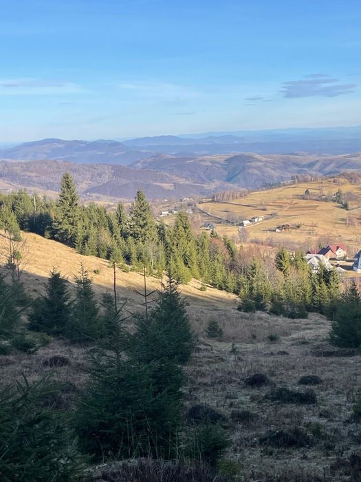 Vand teren in satul Rogojel