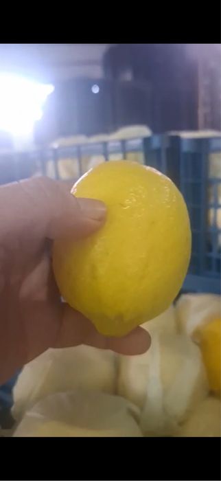 Лимон турция с мерсина