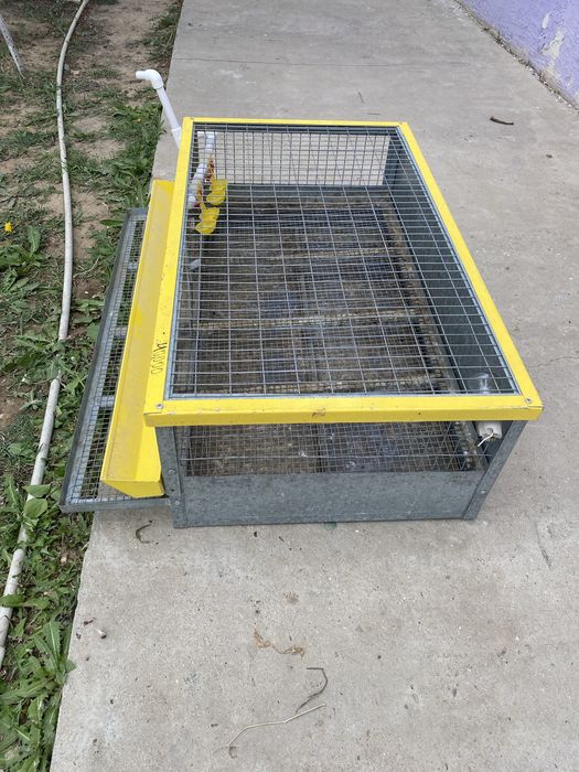 Клетка для перепелов